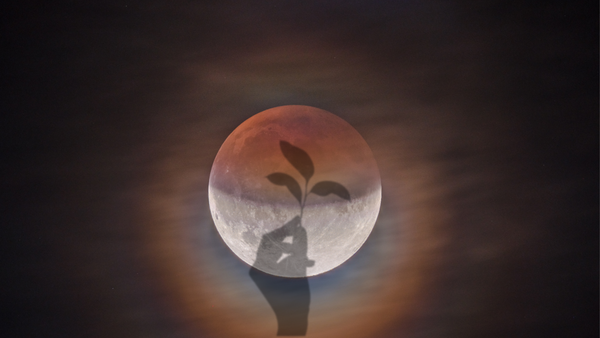 Full Moon Ritual: Embrace Your Uniqueness & Challenge The Status Quo