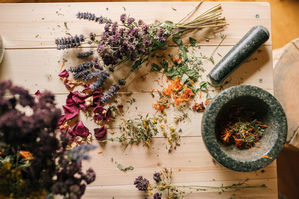 Harnessing the Power of Nature: Benefits of Herbal Tinctures and Oils